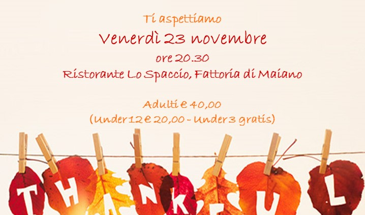 fondazione-niccolo-galli-n27-friendsgiving